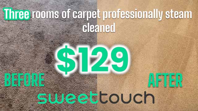 Carpet Cleaning Deal