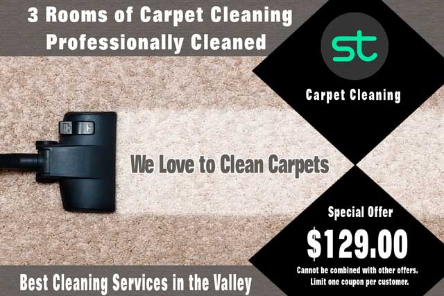 Carpet Cleaning Deal