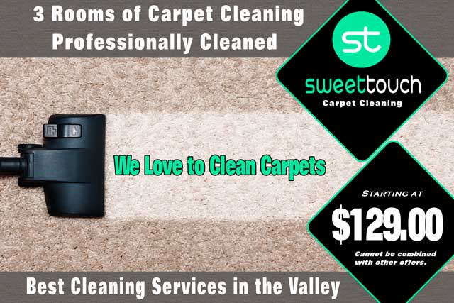 Carpet Cleaning Deal