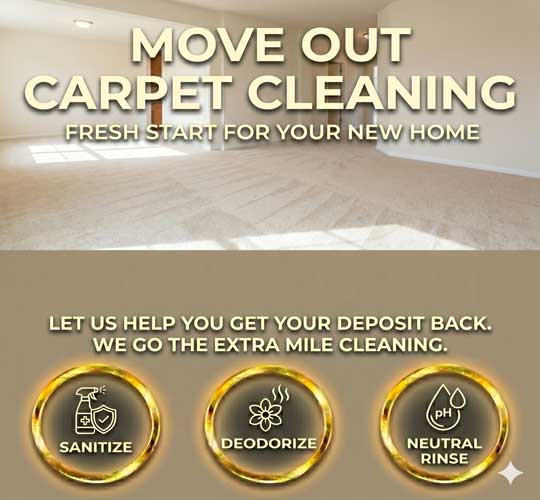 Sweettouch Clean Carpet